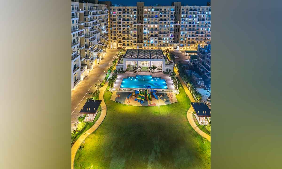 3-Garden-Birds-View