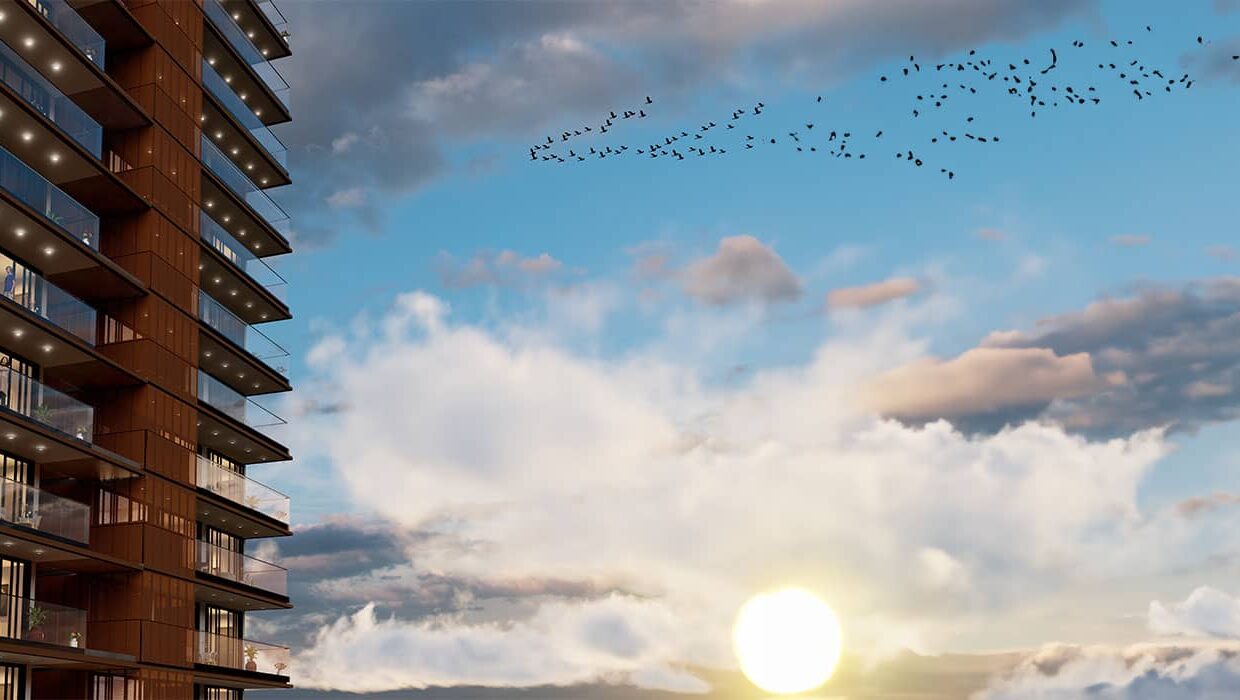 sp_palacio-banner5