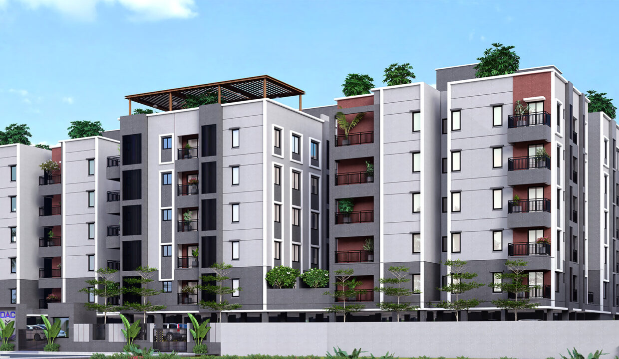 ELEVATION (1)