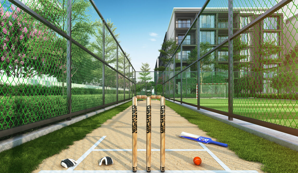 Cricket-Pitch