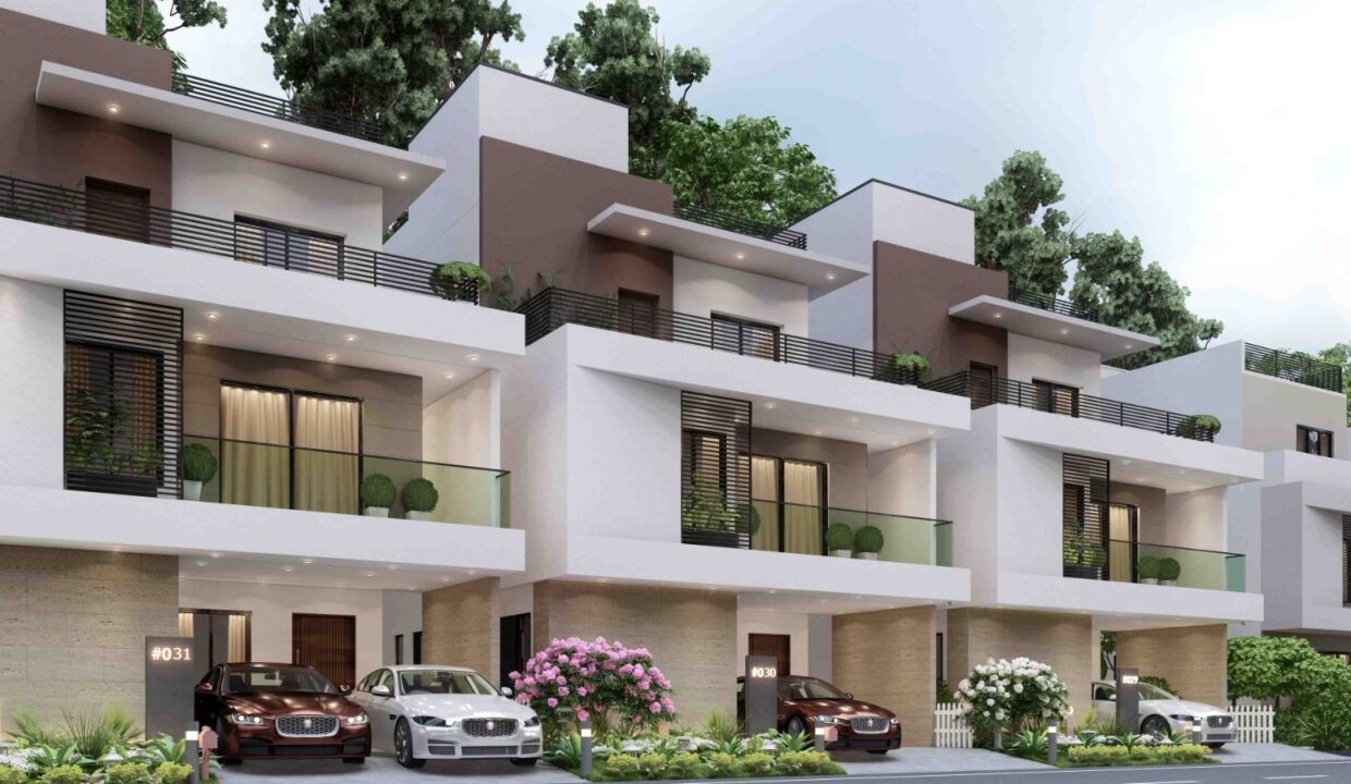 avani-3