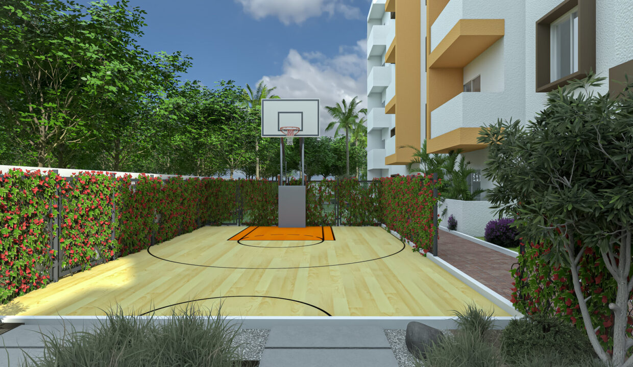 basketball_view-011-scaled