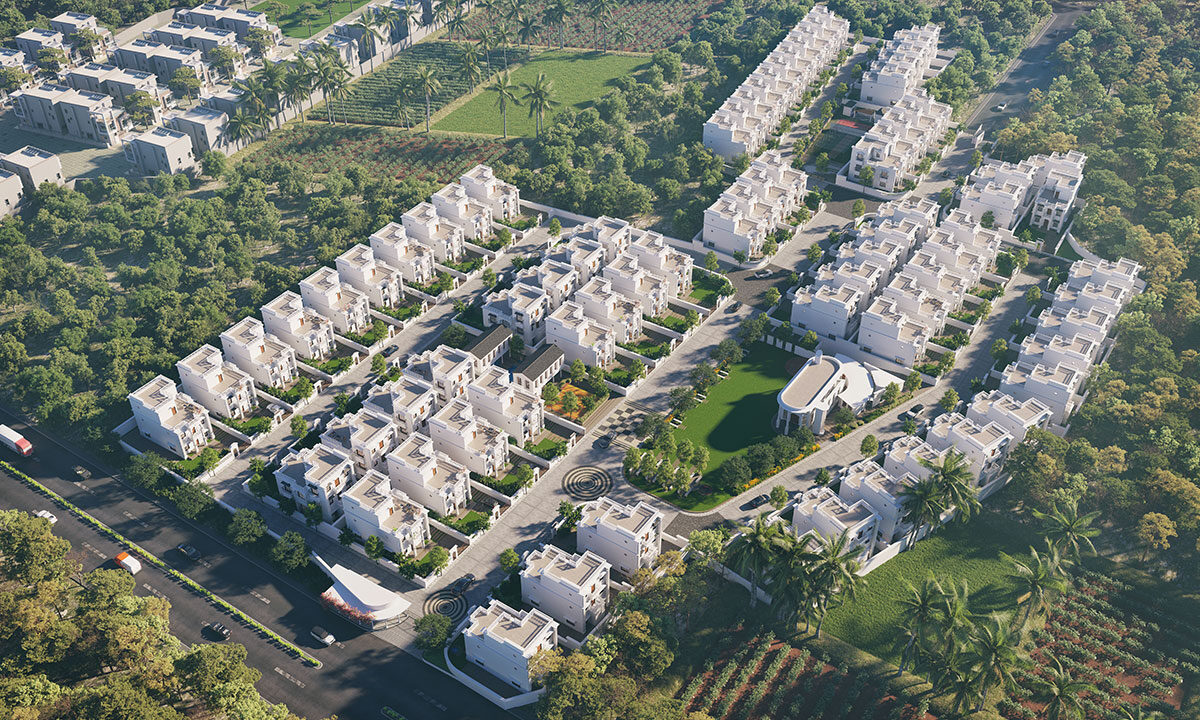 bird-view